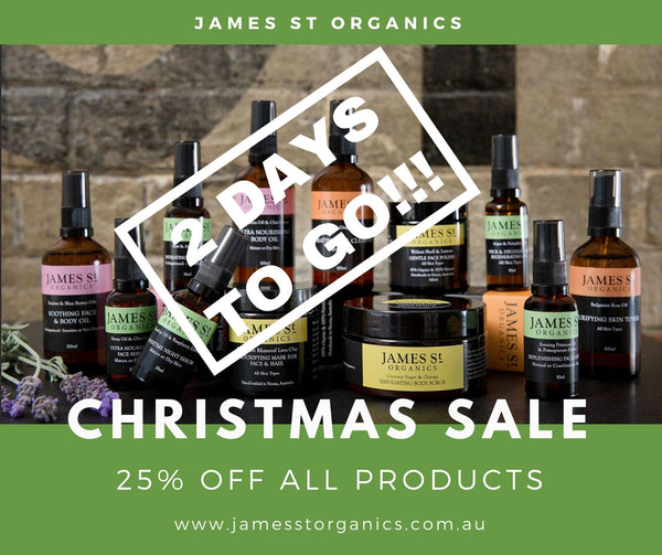 CHRISTMAS SALE - 2 DAYS TO GO!